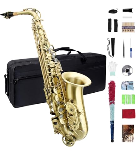 Amazon.com: Eb Alto Saxophone - Beginner & Professional, Student